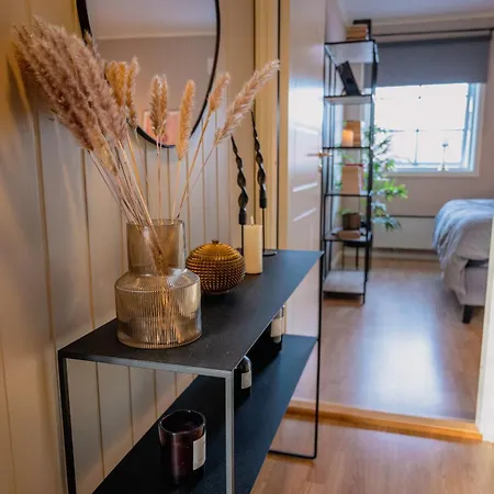 Apartment Koselig Hjem Sentralt Pa