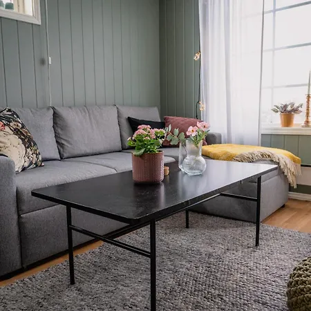 Koselig Hjem Sentralt Pa Storslett